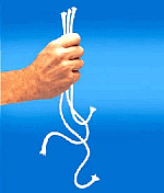 Professors Nightmare